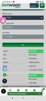 Screenshot_2025-10-21-18-06-37-791_com.android.chrome.jpg