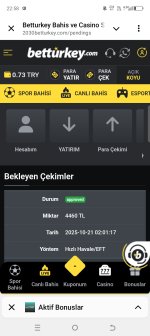 Screenshot_20251021-225856.jpg