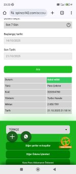 Screenshot_2025-10-21-23-23-42-331_com.android.chrome.jpg