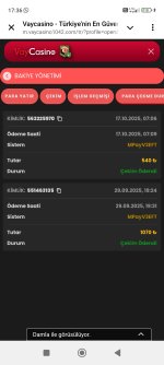 Screenshot_2025-10-22-17-36-45-328_org.telegram.messenger.jpg