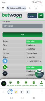 Screenshot_20251023-010419.png