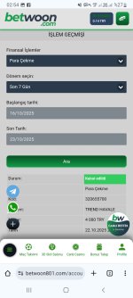 Screenshot_20251023-025413_Chrome.jpg