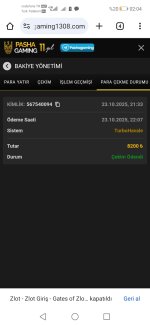 Screenshot_20251024_020442_com.android.chrome.jpg