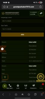 Screenshot_20251116_142015_Samsung Internet.jpg