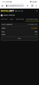 Screenshot_2022-10-11-11-48-05-625_com.android.chrome.jpg