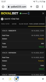 Screenshot_20221018-133755_Chrome.jpg