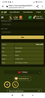 Screenshot_2022-10-28-03-07-54-085_com.android.chrome.jpg