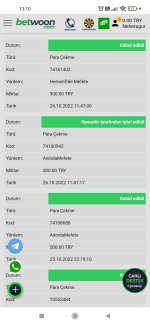 Screenshot_2022-10-28-13-10-15-411_com.android.chrome.jpg