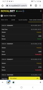 Screenshot_20221028-182744_Chrome.jpg
