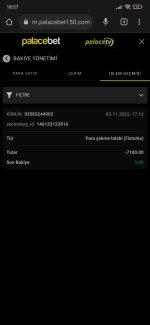 Screenshot_2022-11-03-18-57-04-238_com.android.chrome.jpg