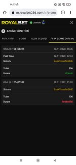 Screenshot_2022-11-12-14-13-38-547_com.android.chrome.jpg