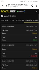 Screenshot_2022-11-19_170122.jpg