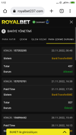 Screenshot_2022-11-23-01-12-47-903_com.android.chrome.png