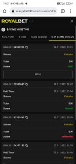 Screenshot_2022-11-28-11-01-29-563_com.android.chrome.jpg
