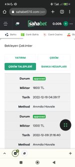 Screenshot_2022-12-19-04-56-46-213_com.android.chrome.jpg