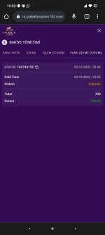 Screenshot_2022-12-22-19-02-16-539_com.android.chrome.jpg