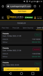 Screenshot_2022-03-19-01-18-06.png
