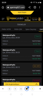 Screenshot_20221229-035959.png