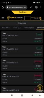 Screenshot_2023-01-01-15-24-00-209_com.android.chrome.jpg