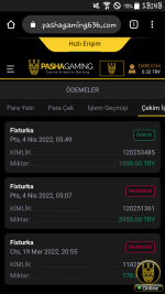 Screenshot_2022-04-04-18-48-51.png