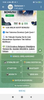 Screenshot_2023-06-19-19-38-13-439_org.telegram.messenger.jpg