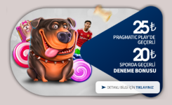 Ekran Alıntısı.PNG Ekran Alıntısı.PNG